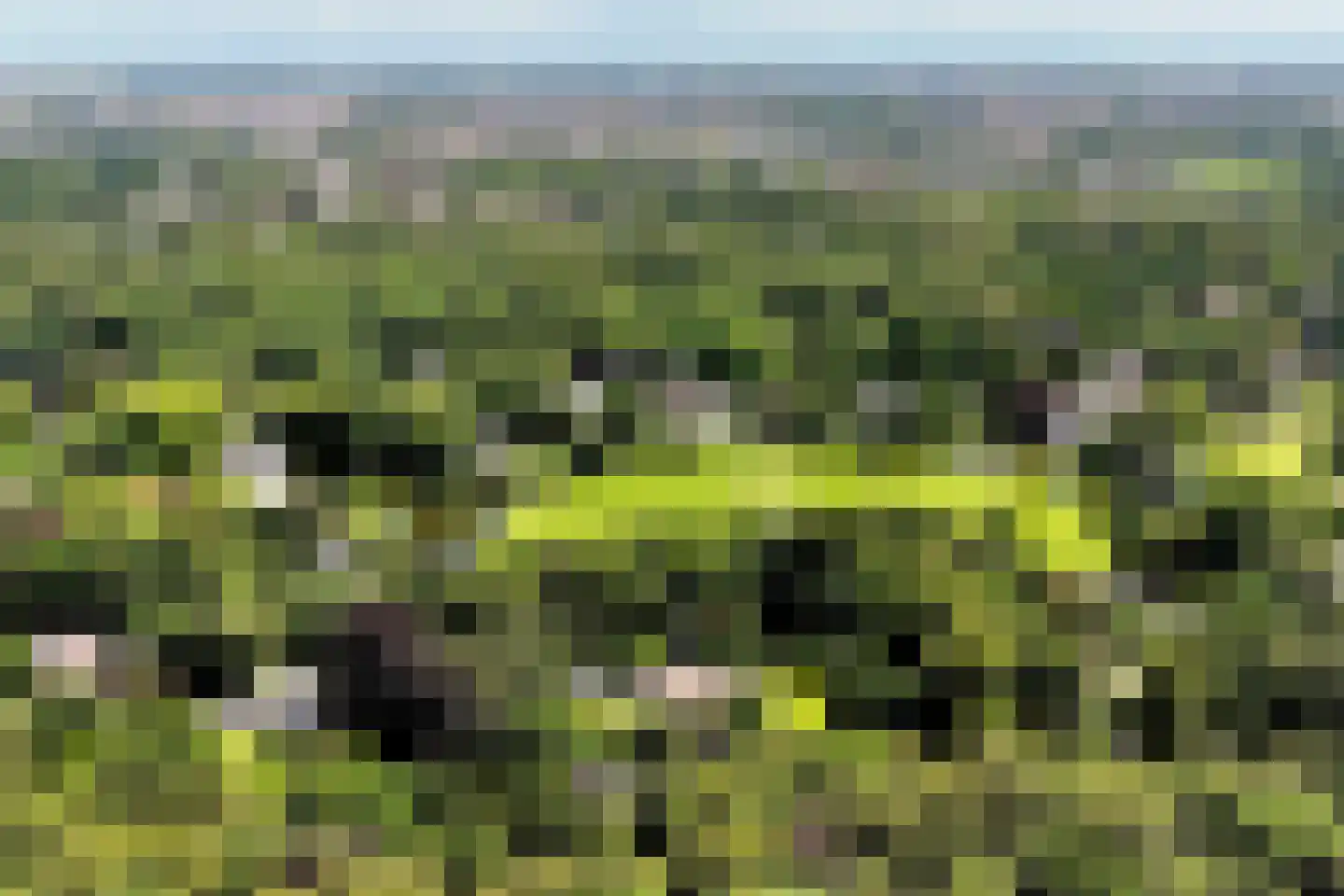 Jozef Israëlsweg 16 Bloemendaal thumbnail 71