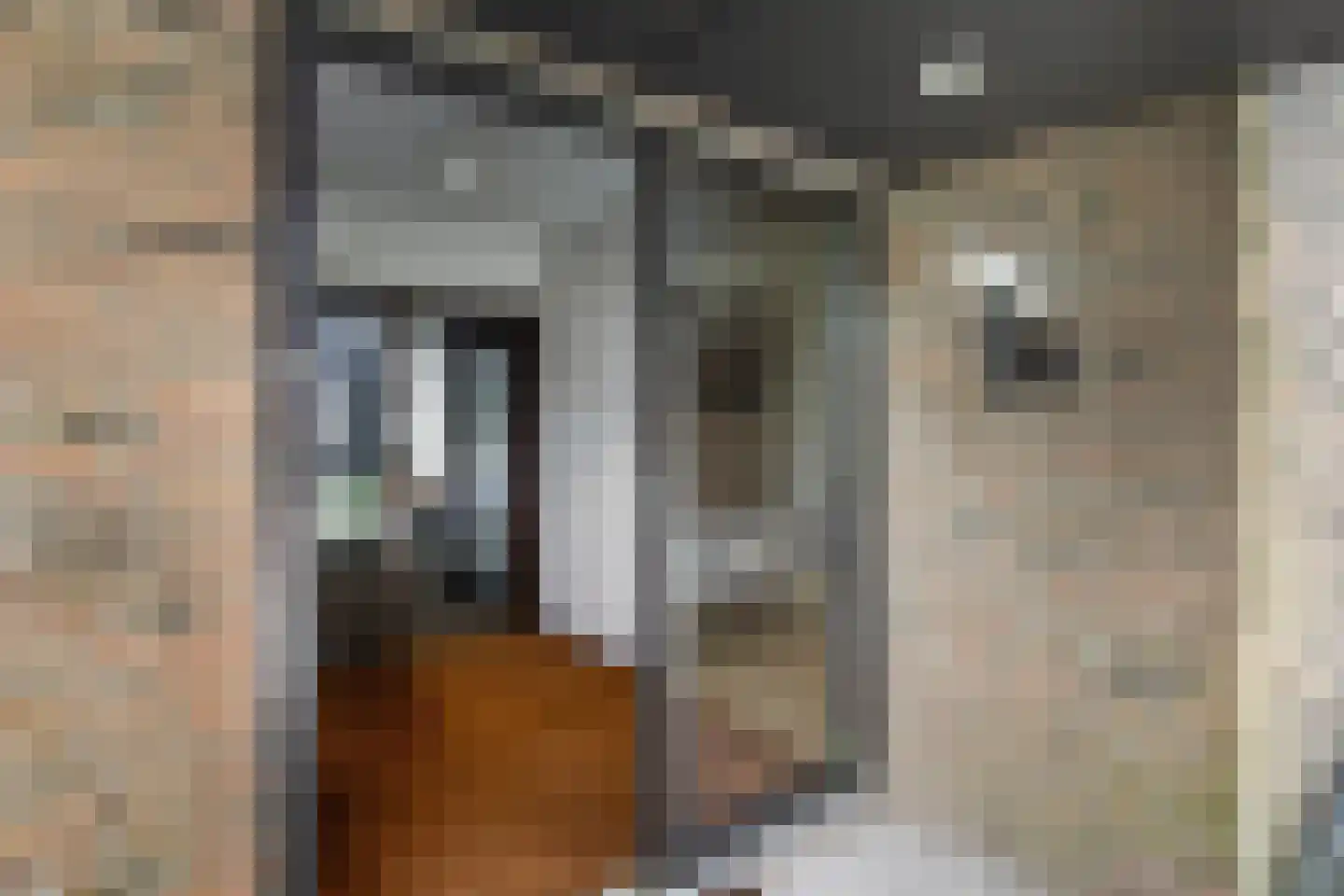 Jozef Israëlsweg 16 Bloemendaal thumbnail 9