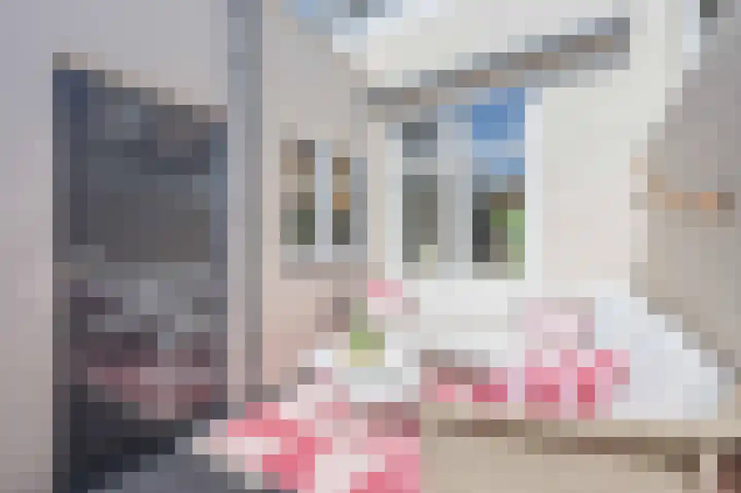 Jozef Israëlsweg 22 Katwijk thumbnail 30