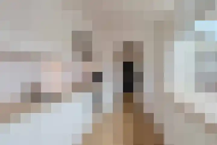 Jozef Israëlsweg 32 Katwijk thumbnail 23