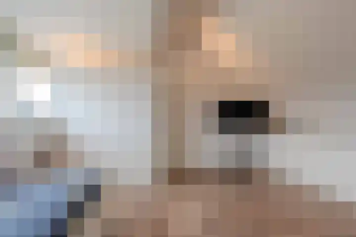 Jozef Israëlsweg 32 Katwijk thumbnail 48