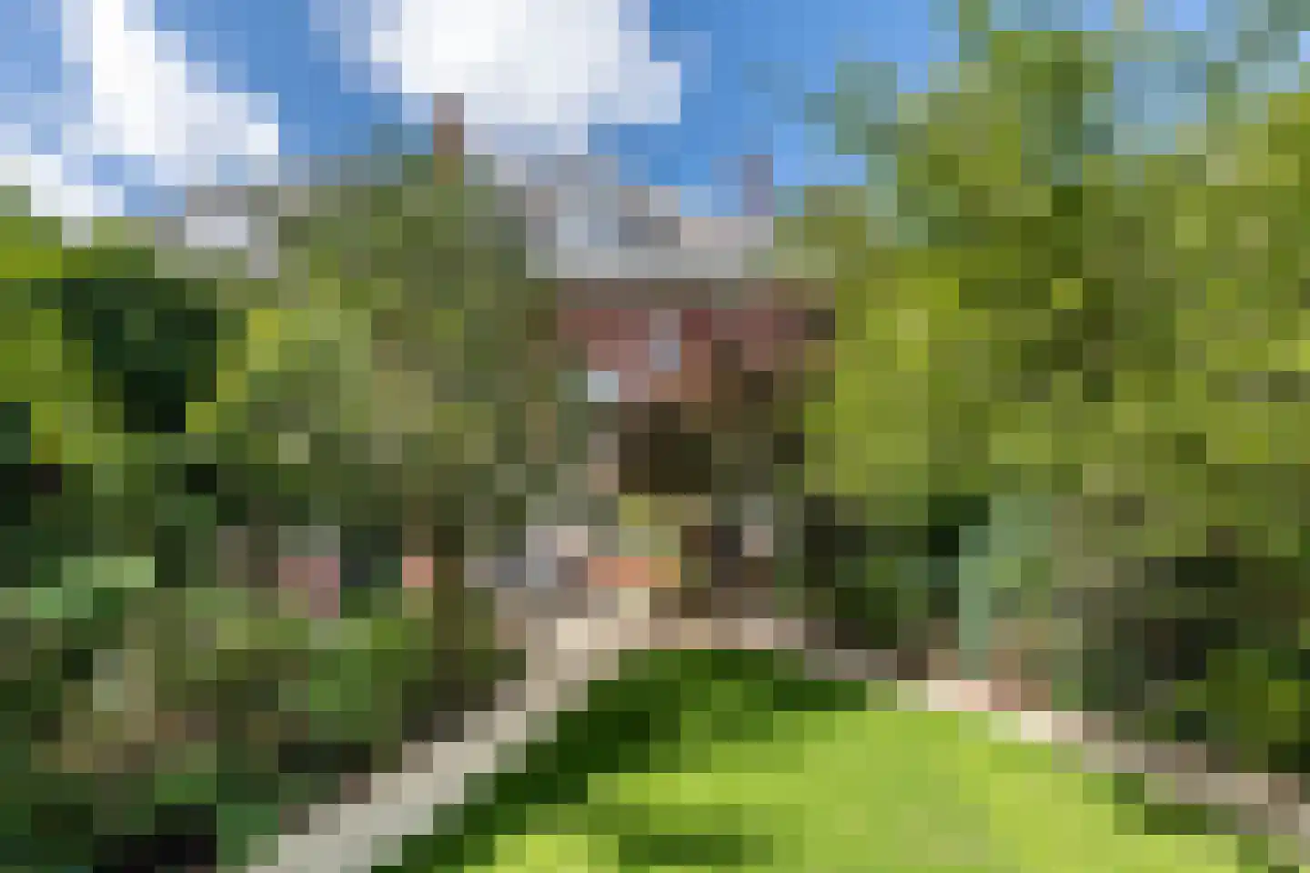 Jozef Israëlsweg 7 Bloemendaal thumbnail 17
