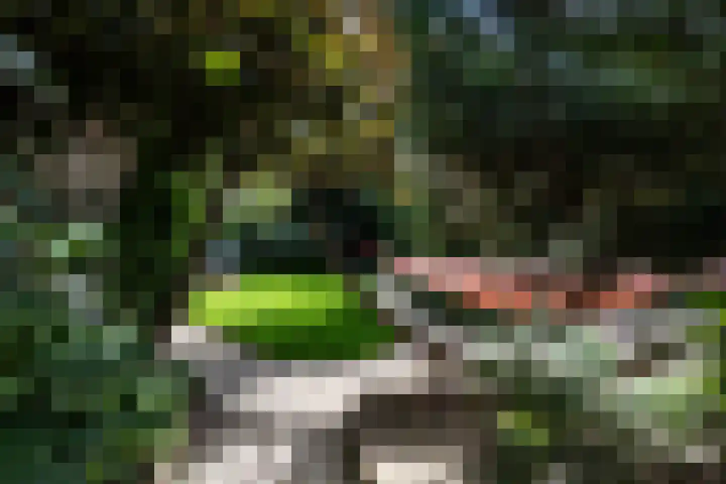 Jozef Israëlsweg 7 Bloemendaal thumbnail 18