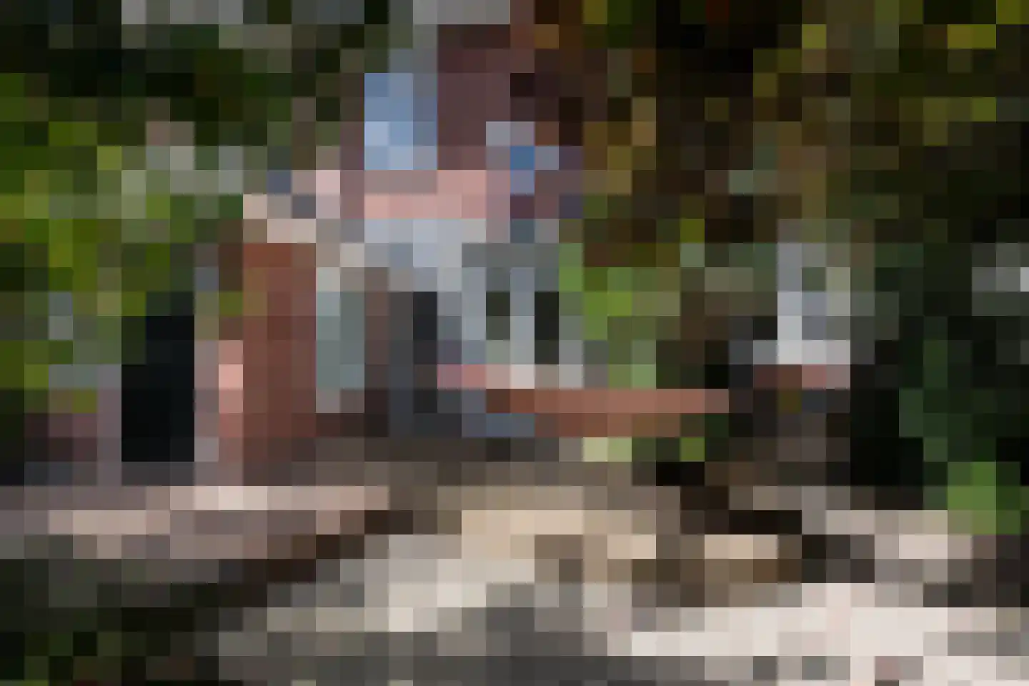 Jozef Israëlsweg 7 Bloemendaal thumbnail 19