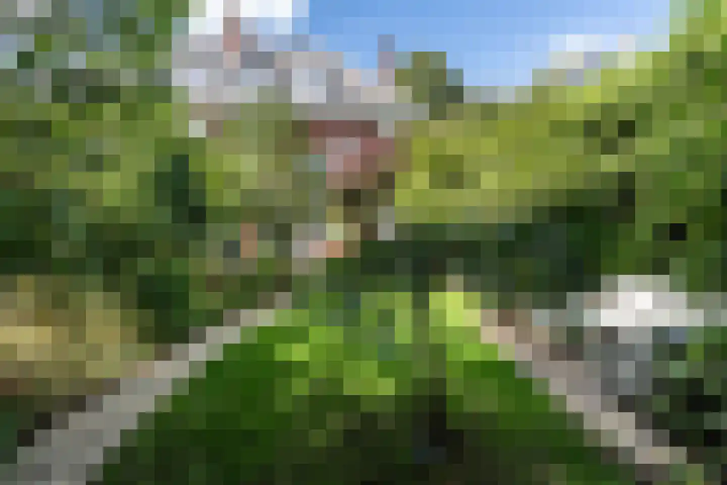 Jozef Israëlsweg 7 Bloemendaal foto 2