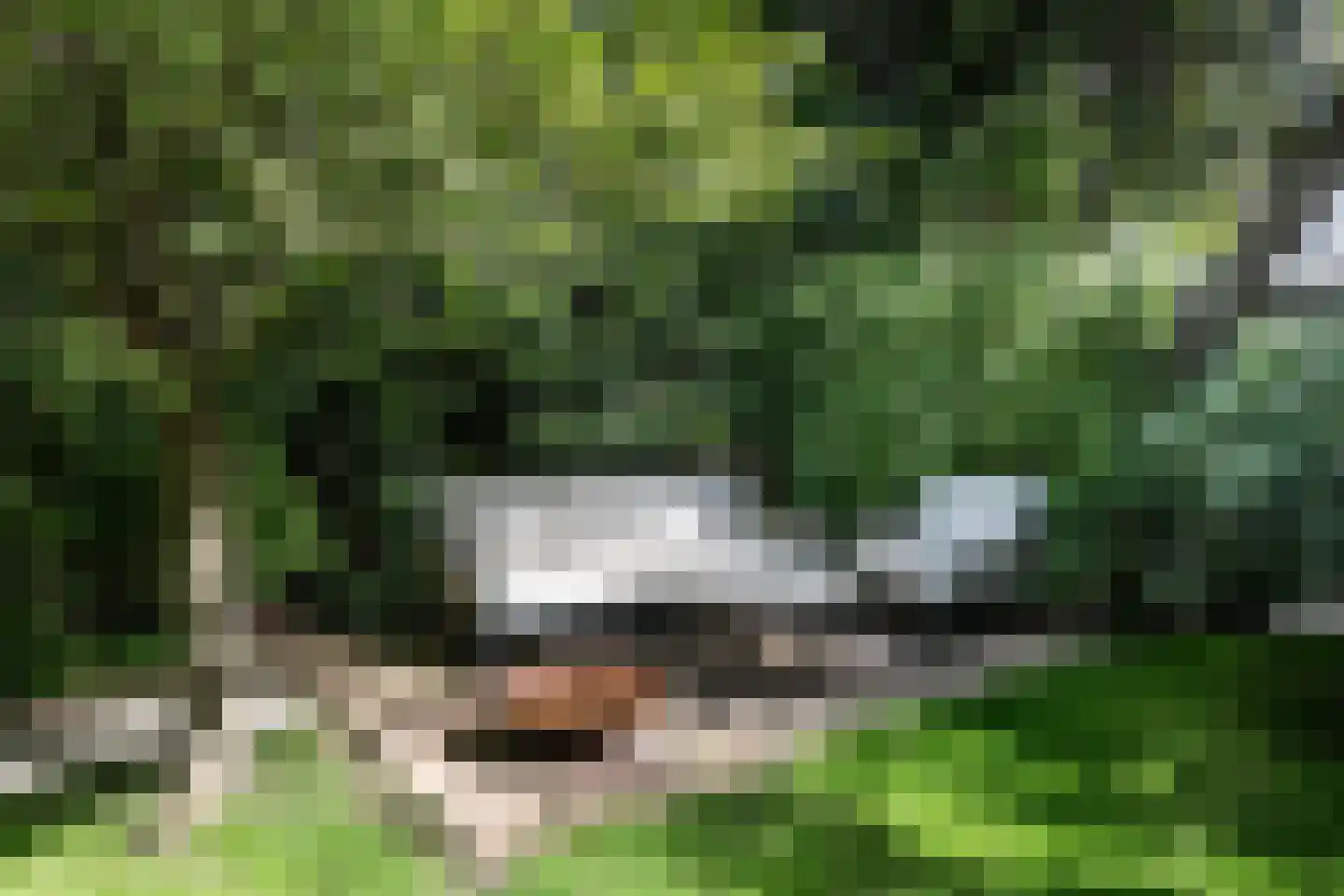 Jozef Israëlsweg 7 Bloemendaal thumbnail 20