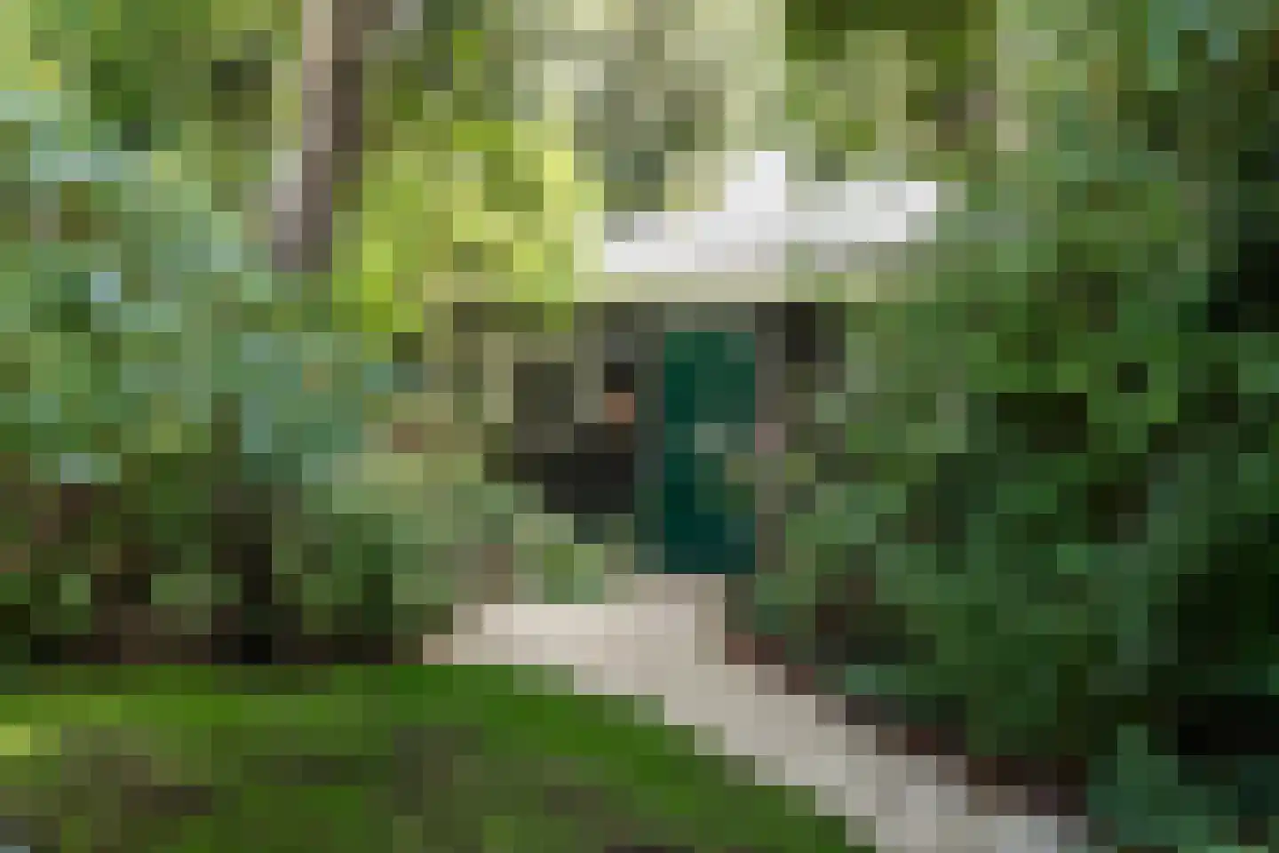 Jozef Israëlsweg 7 Bloemendaal thumbnail 21