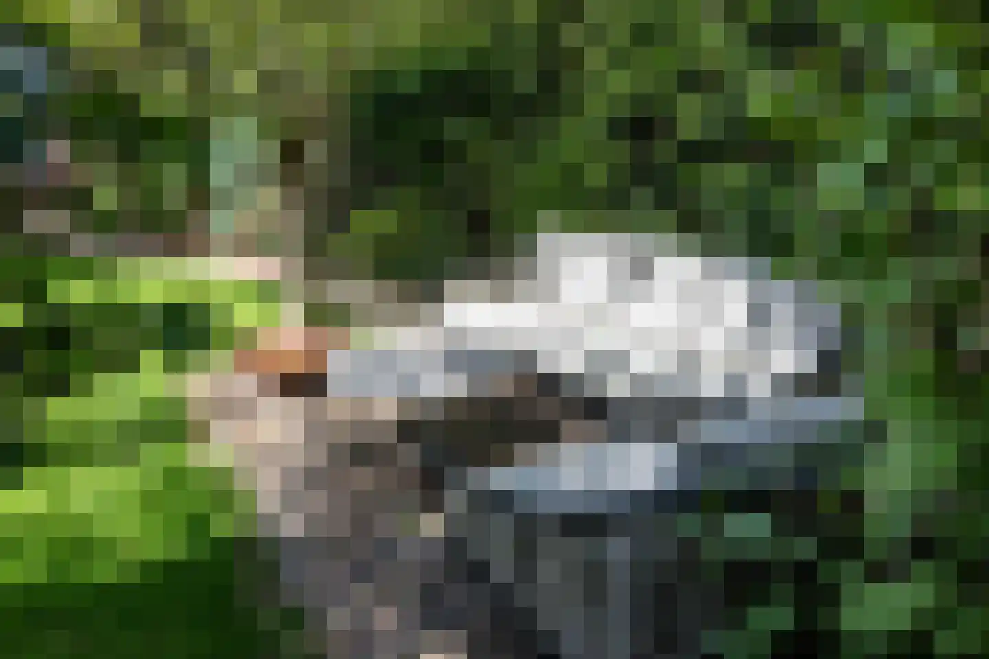 Jozef Israëlsweg 7 Bloemendaal thumbnail 22