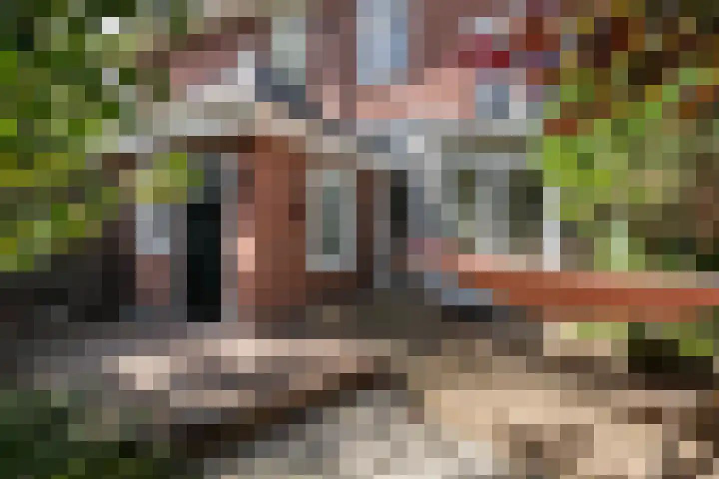 Jozef Israëlsweg 7 Bloemendaal thumbnail 23