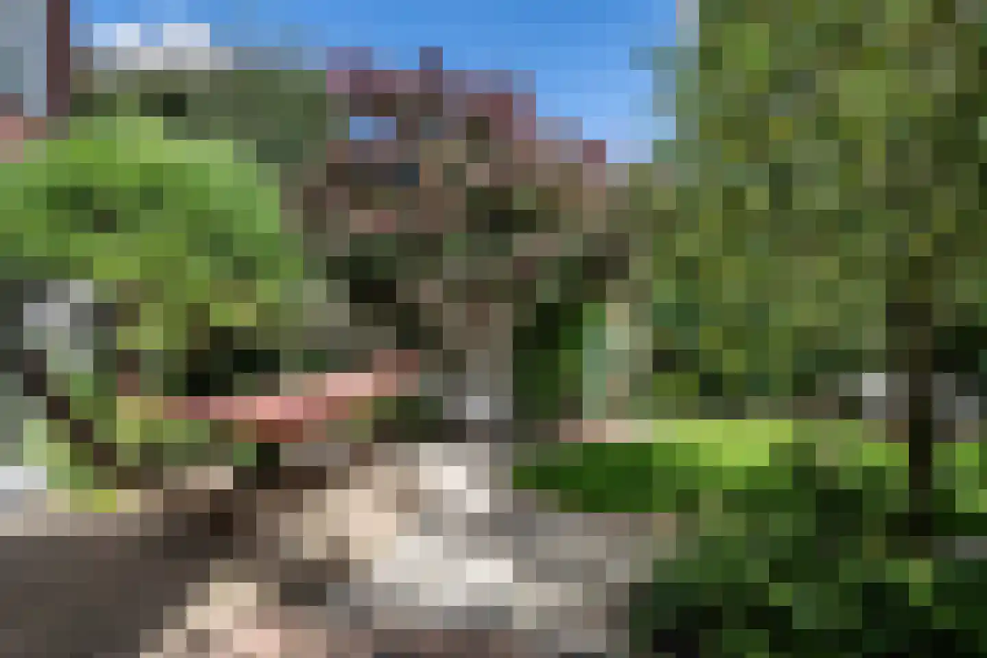Jozef Israëlsweg 7 Bloemendaal thumbnail 24