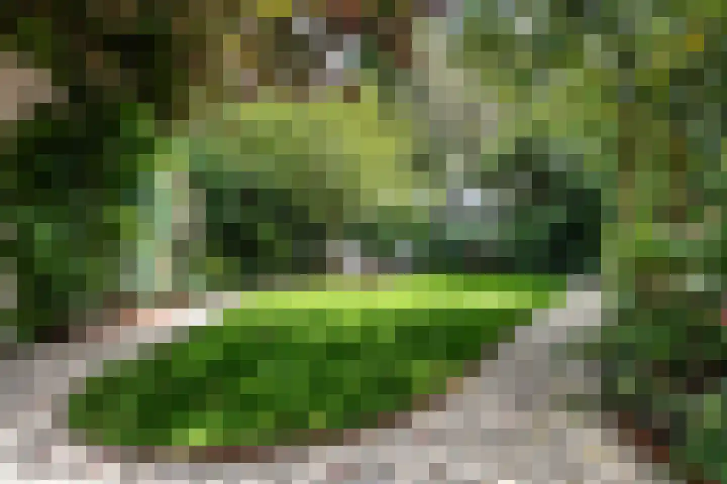 Jozef Israëlsweg 7 Bloemendaal thumbnail 25