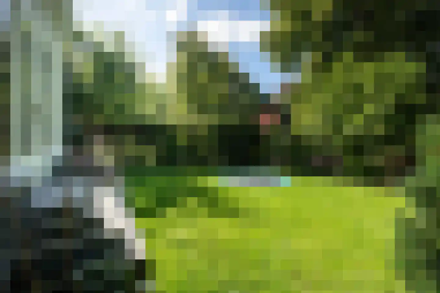 Jozef Israëlsweg 7 Bloemendaal thumbnail 26