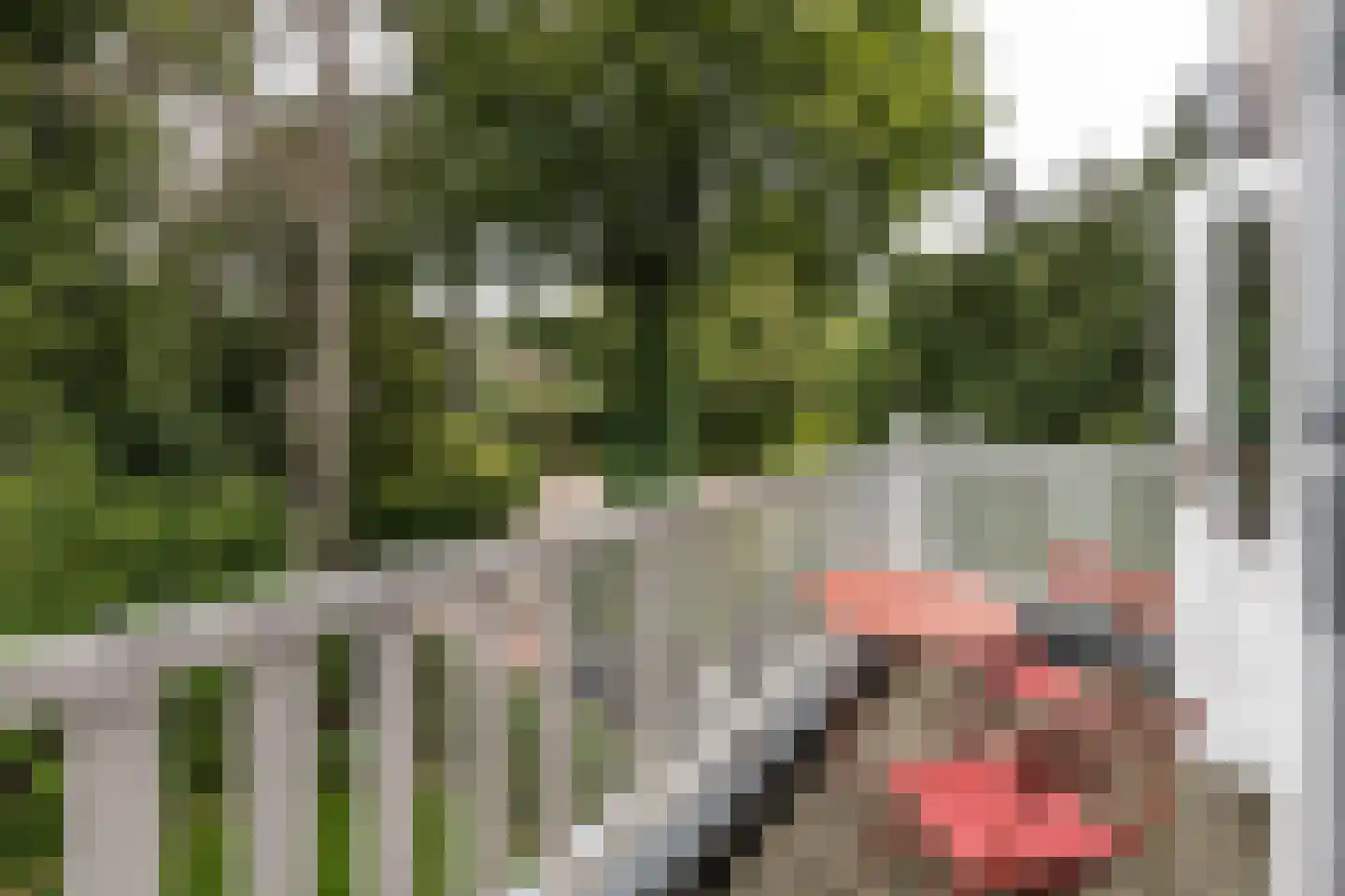 Jozef Israëlsweg 7 Bloemendaal thumbnail 36