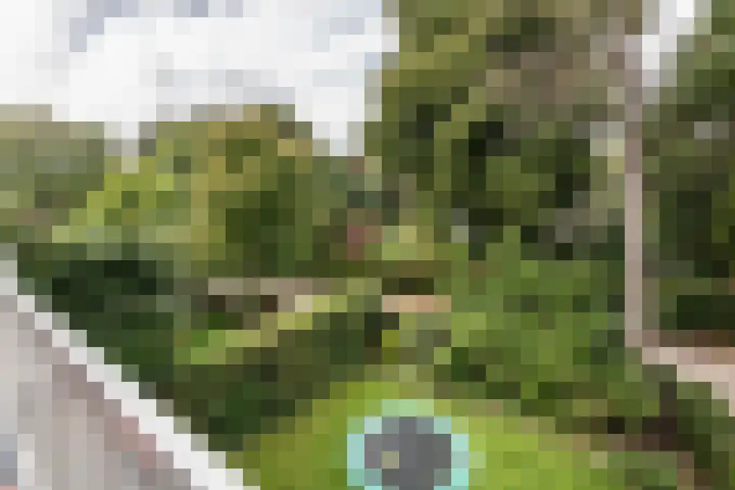 Jozef Israëlsweg 7 Bloemendaal thumbnail 37