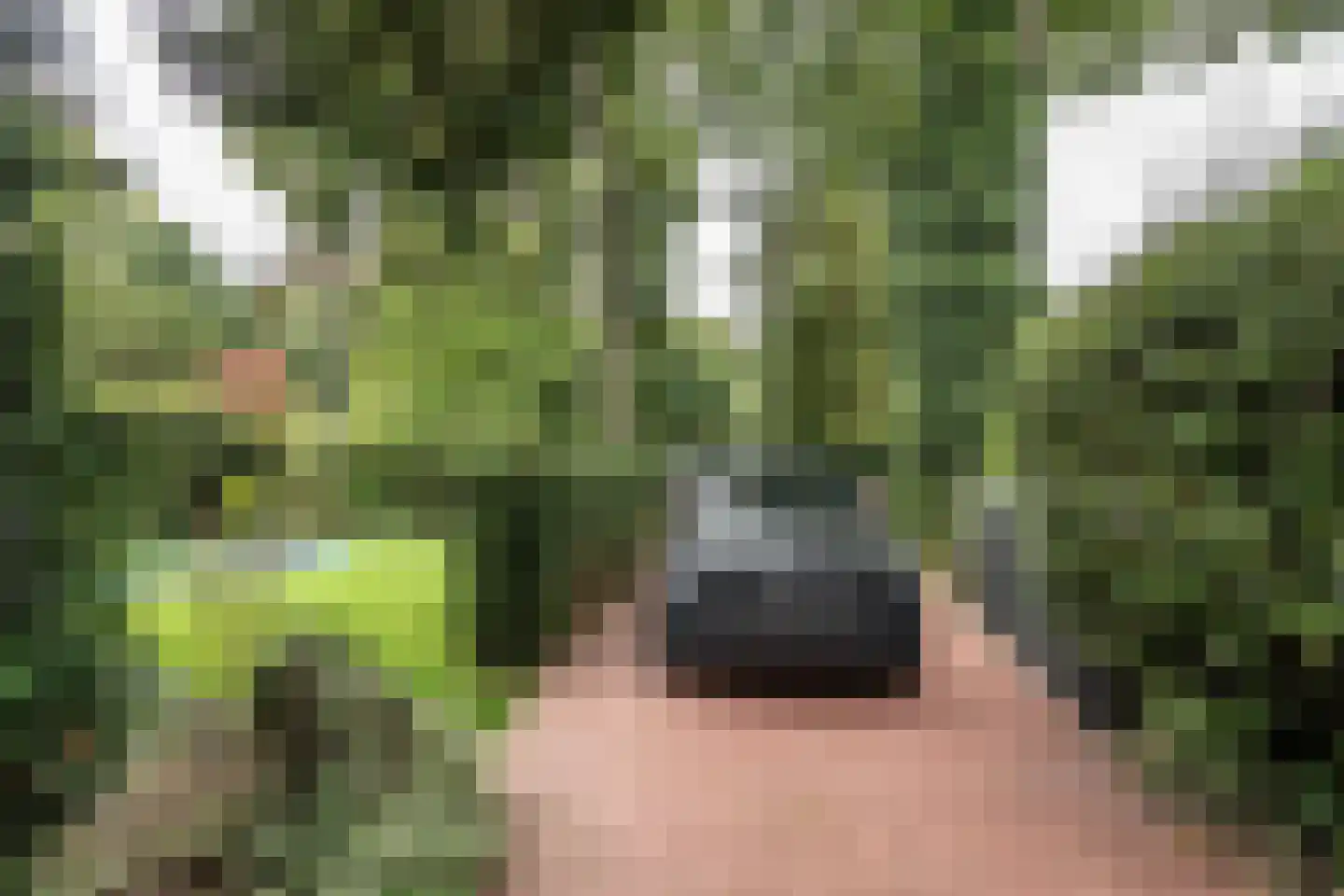 Jozef Israëlsweg 7 Bloemendaal thumbnail 52