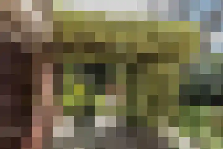 Jozef Israëlsweg 9 Bloemendaal thumbnail 18