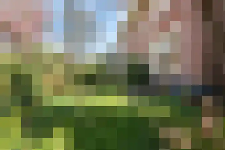 Jozef Israëlsweg 9 Bloemendaal thumbnail 22