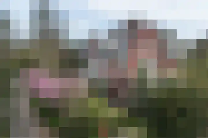 Jozef Israëlsweg 9 Bloemendaal foto 3
