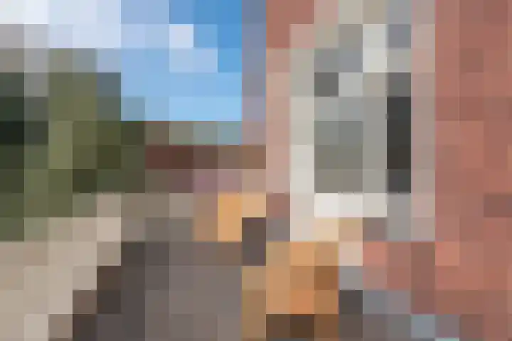 Jozef Israëlsweg 9 Bloemendaal thumbnail 31