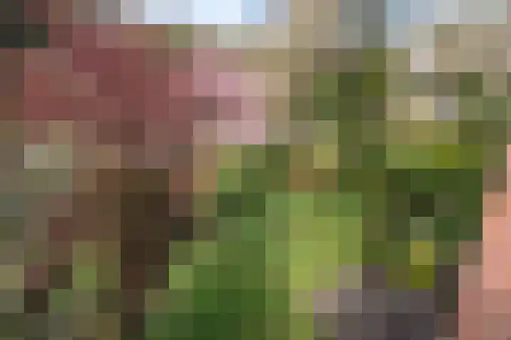 Jozef Israëlsweg 9 Bloemendaal thumbnail 32