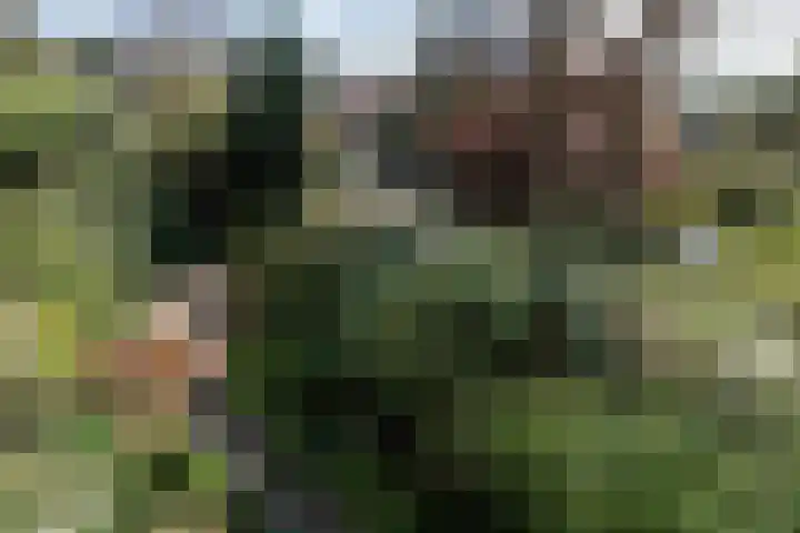 Jozef Israëlsweg 9 Bloemendaal thumbnail 33
