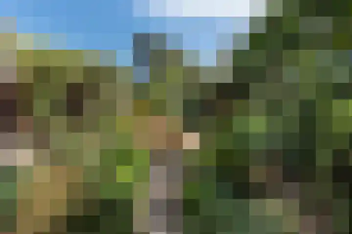 Jozef Israëlsweg 9 Bloemendaal thumbnail 4