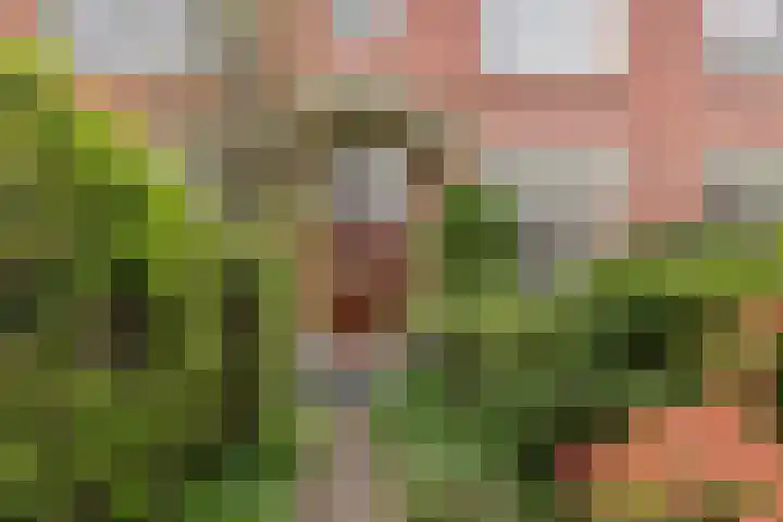 Jozef Israëlsweg 9 Bloemendaal thumbnail 46