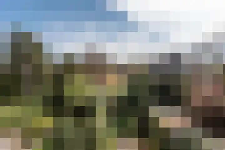 Jozef Israëlsweg 9 Bloemendaal thumbnail 47
