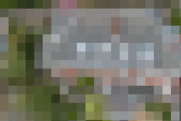 Jozef Israëlsweg 9 Bloemendaal thumbnail 48