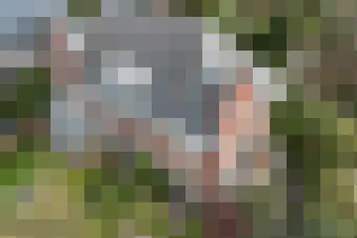 Jozef Israëlsweg 9 Bloemendaal thumbnail 5