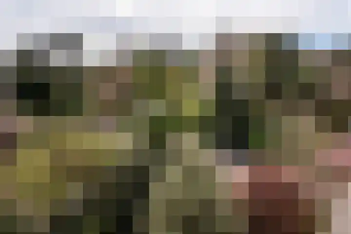 Jozef Israëlsweg 9 Bloemendaal thumbnail 50