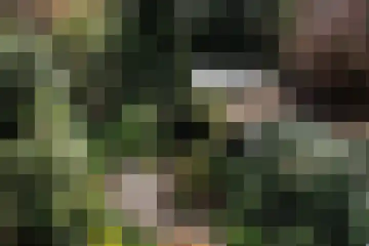 Jozef Israëlsweg 9 Bloemendaal thumbnail 51