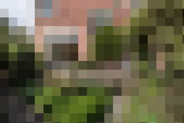 Jozef Israëlsweg 9 Bloemendaal thumbnail 52