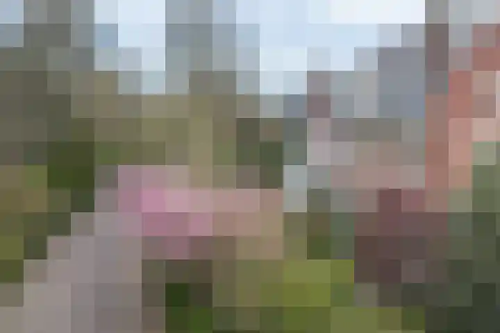 Jozef Israëlsweg 9 Bloemendaal thumbnail 6