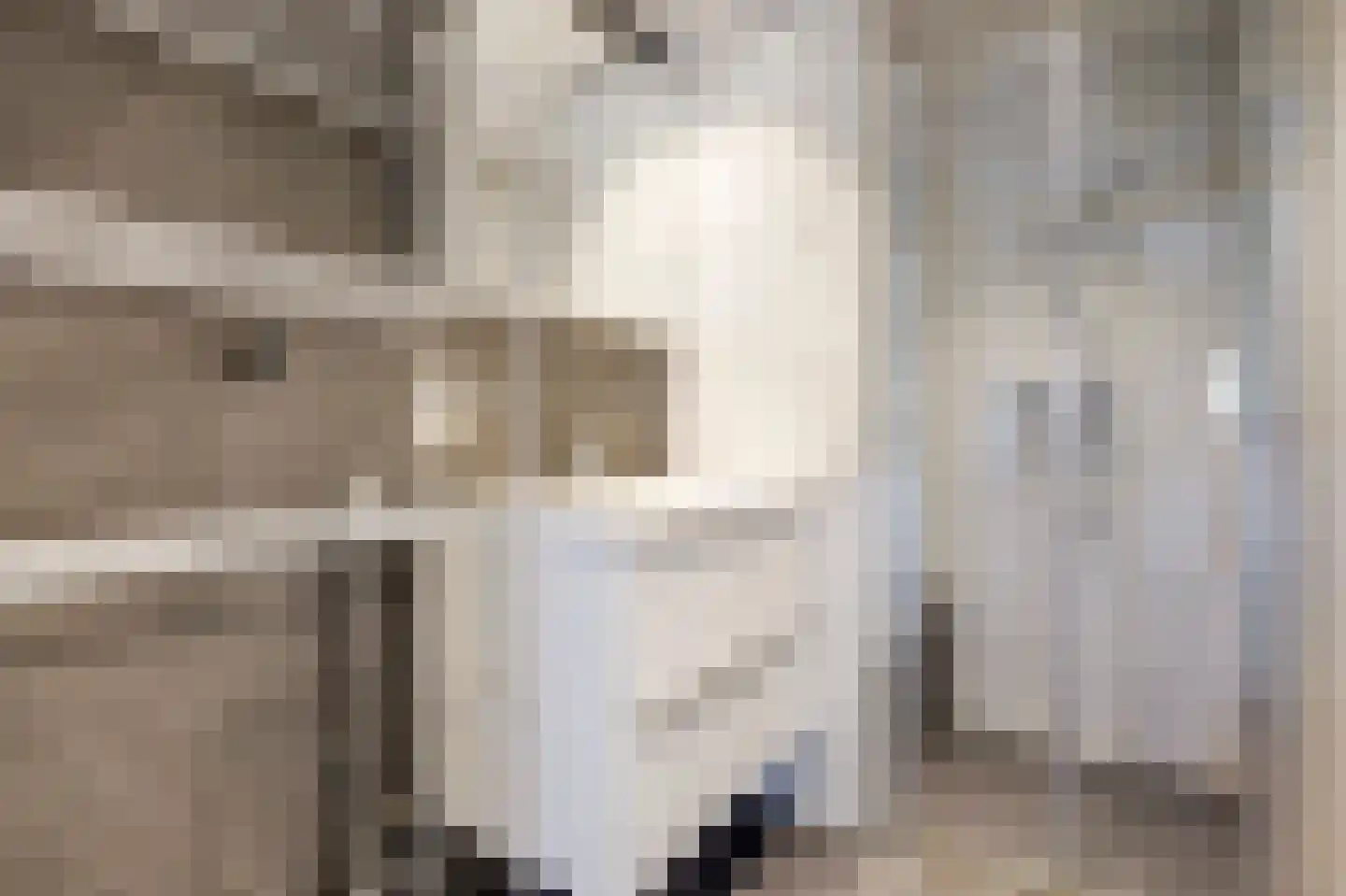 Jozef Oreliosingel 25 Schiedam thumbnail 22