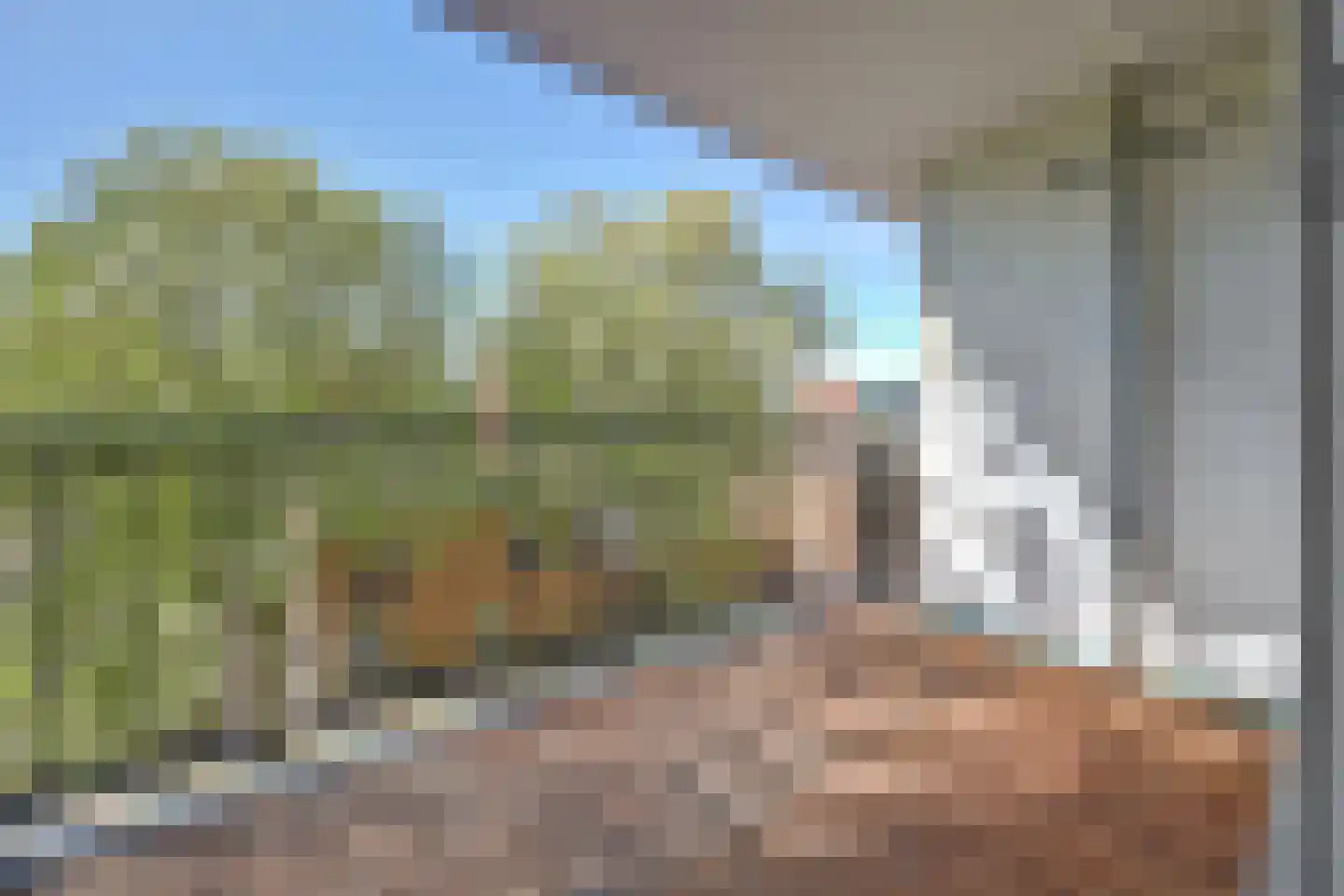Jozef Oreliosingel 25 Schiedam thumbnail 24