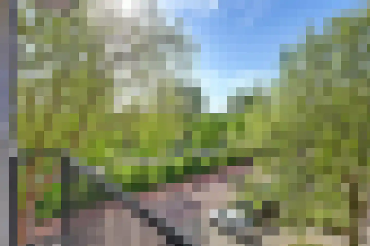 Jozef Oreliosingel 25 Schiedam thumbnail 26