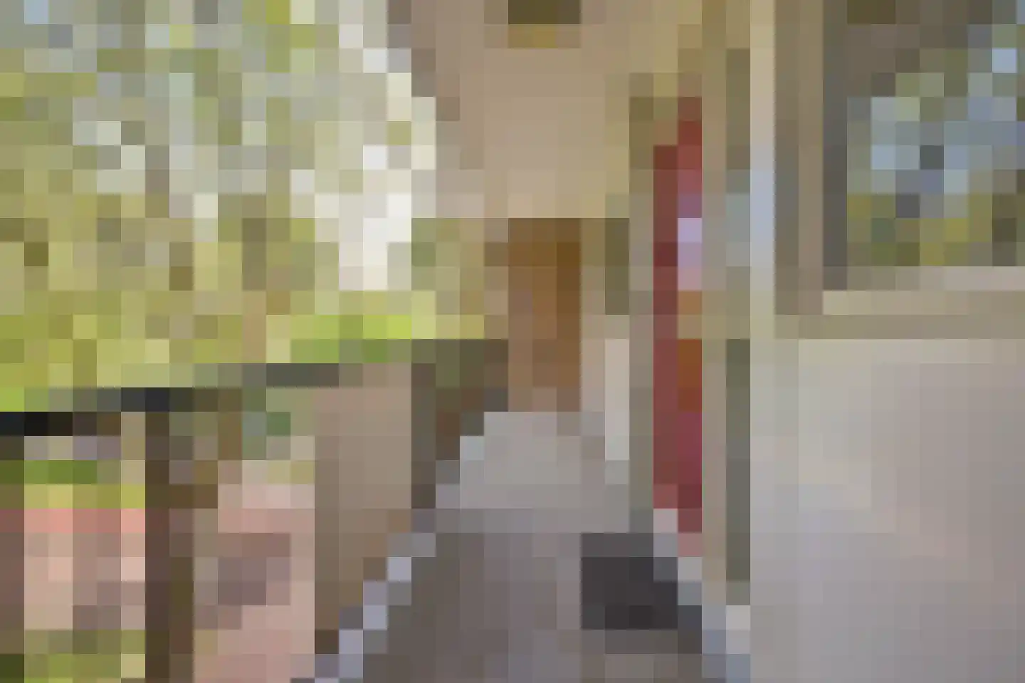 Jozef Oreliosingel 25 Schiedam thumbnail 6