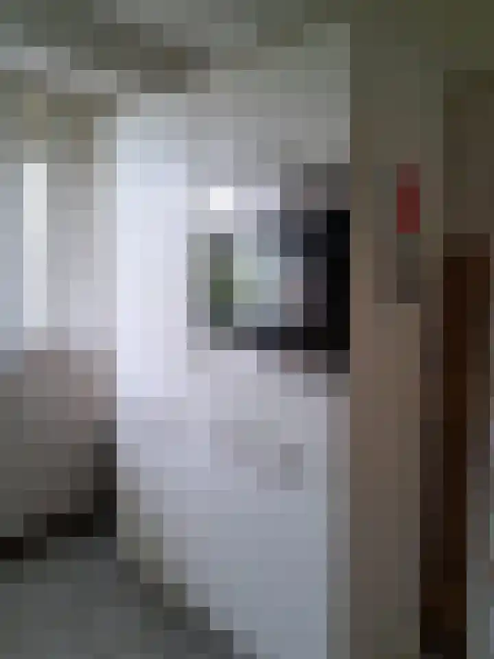 Jozef Oreliosingel 327 Schiedam thumbnail 15