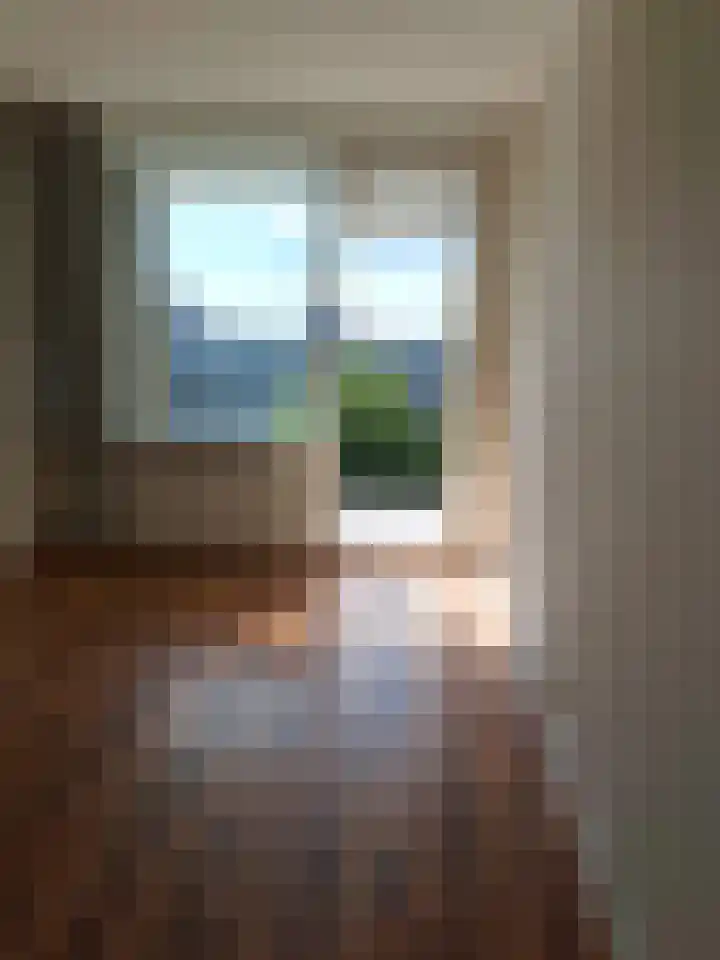 Jozef Oreliosingel 327 Schiedam thumbnail 18