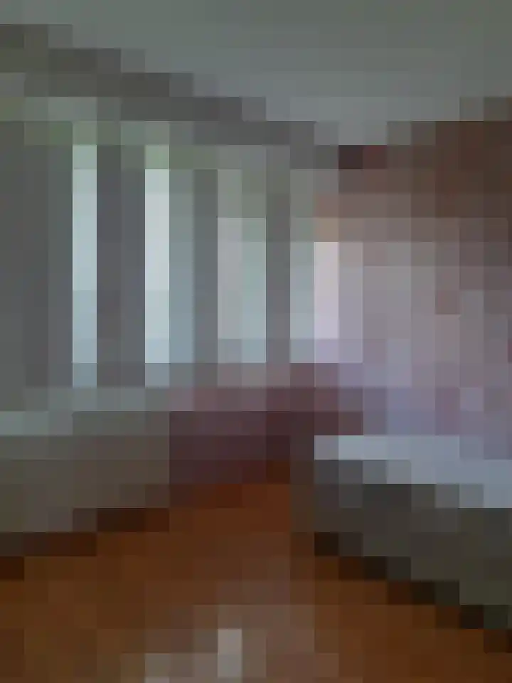 Jozef Oreliosingel 327 Schiedam thumbnail 19