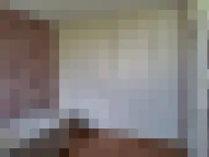Jozef Oreliosingel 327 Schiedam thumbnail 20