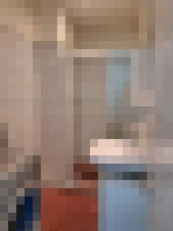 Jozef Oreliosingel 327 Schiedam thumbnail 21