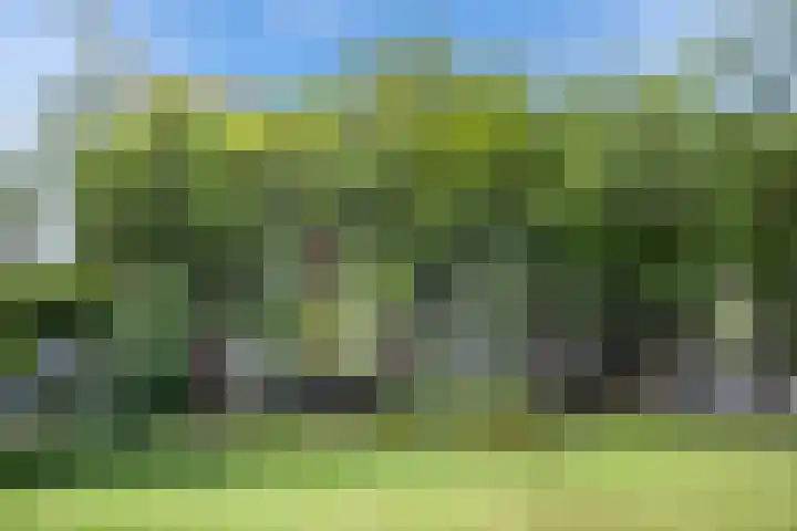 Jozef Oreliosingel 327 Schiedam thumbnail 25