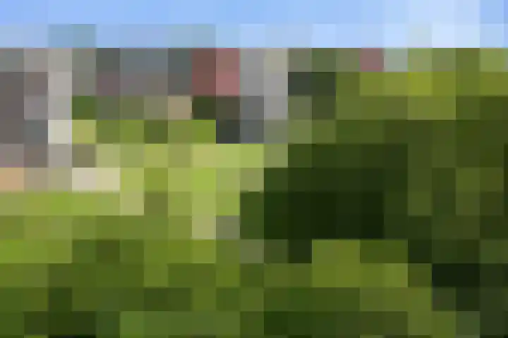 Jozef Oreliosingel 327 Schiedam thumbnail 26