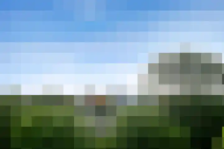 Jozef Oreliosingel 327 Schiedam thumbnail 27