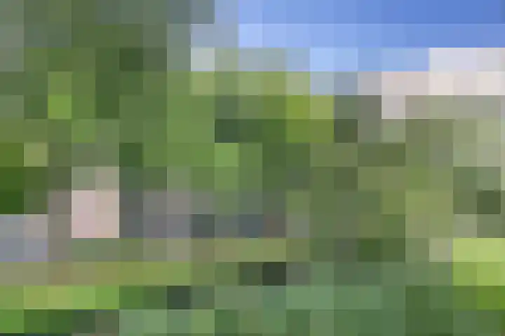 Jozef Oreliosingel 327 Schiedam thumbnail 28