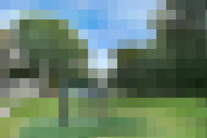 Jozef Oreliosingel 327 Schiedam thumbnail 29