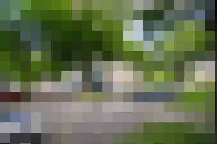 Jozef Oreliosingel 327 Schiedam thumbnail 30