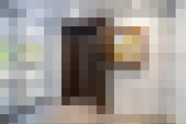 Jozef Oreliosingel 327 Schiedam thumbnail 4
